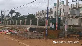 雷州英利最新爆料,揭秘项目进展与未来规划 第1张 雷州英利最新爆料,揭秘项目进展与未来规划 第1张